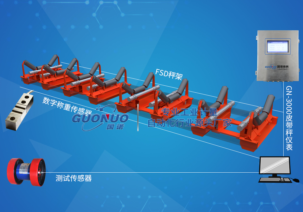 FSD高精度皮带秤
